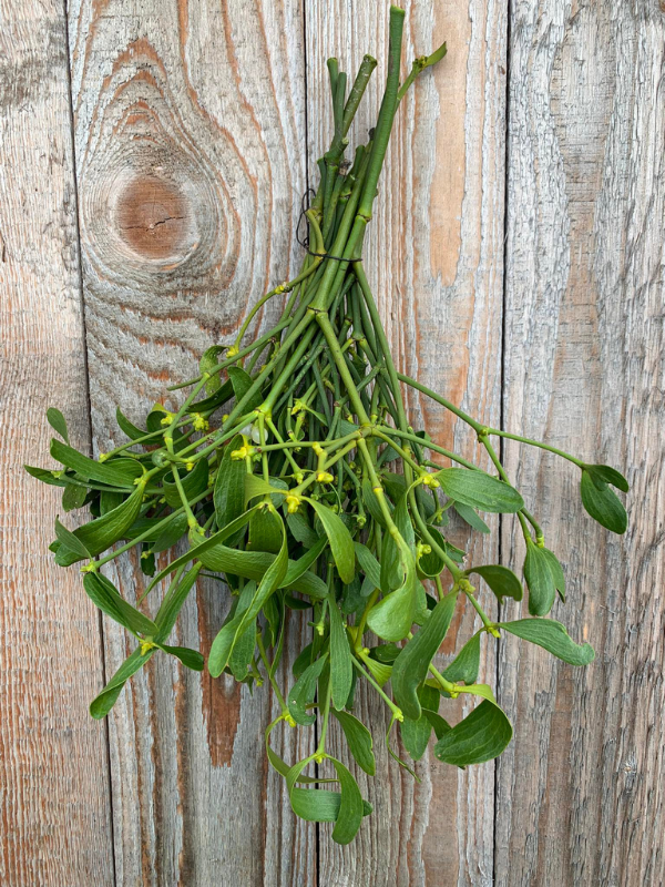 Návrh bez názvu (6)